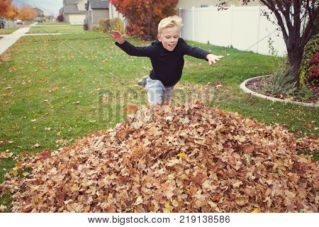 Cute young boy jumping into a large pile of leaves on a fall afternoon. Having fun playing outdoors