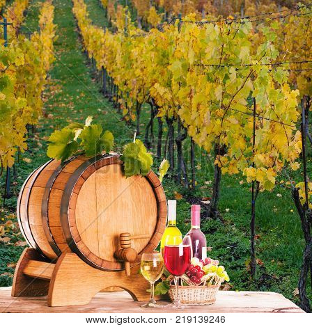 Grapes and bottels of wine near the wooden barrel. Glasses of wine on the table, concept of winery - red and white