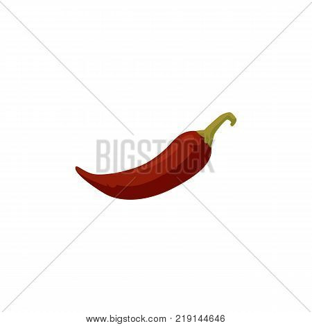 Single fresh whole ripe red chili pepper, flat style vector illustration isolated on white background. Flat side view picture of whole red chili pepper