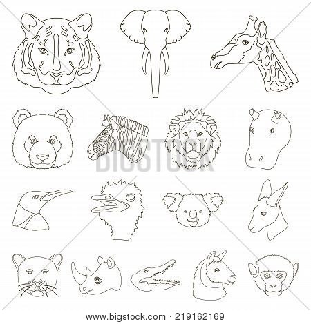 Wild animal outline icons in set collection for design. Mammal and bird vector symbol stock  illustration.