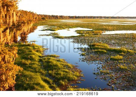 Evening at Lake Arbuckle of the Lake Wales Ridge State Forest in central Florida