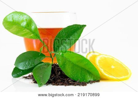 Citrus Leaves With Drops Isolated On A White Background. Collection. Full Depth Of Field.