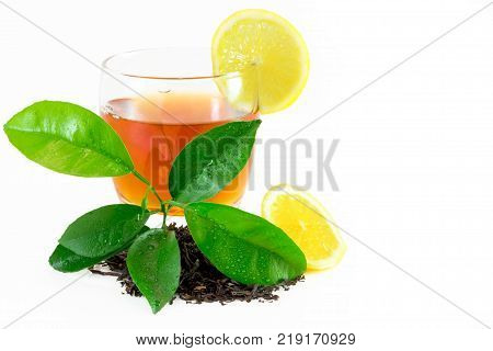 Citrus Leaves With Drops Isolated On A White Background. Collection. Full Depth Of Field.
