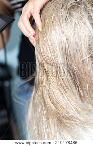 drying hair at the salon . Photos in the studio