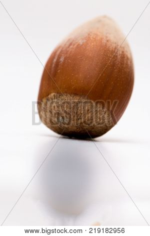 Macro shoot of unpealed hazelnut on the white background