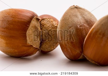Macro shoot of unpealed dual hazelnut on white backgound