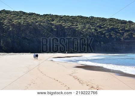 Two couples holding hands and walking along the beach