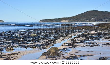 A natural linear formation in the rock at the beach