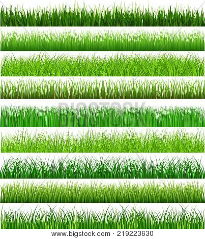 Collection Green Grass There are many form isolated on white background Vector Illustration