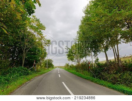 Rural road with many trees at autumn in Biei Hokkaido Japan.