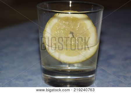 A glass with a slice of lemon and some ice cubes.  The lemon (or yellow lemon) is a citrus fruit, a fruit of the lemon tree, the juice of which has a pH of 2,5. The lemon tree (Citrus silt) is a shrub of 5 10 meters away from high, evergreen, of the famil