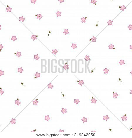 Seamless floral pattern forget-me-not pink flowers. Myosotis gentle flower pattern on white background, vector, eps 10