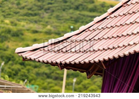 The roof of a house in Chinese style .