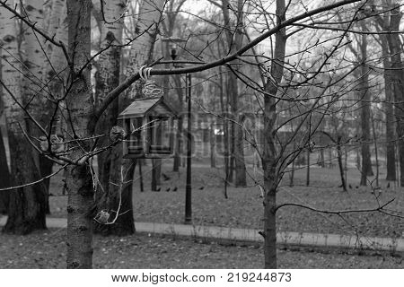 Feeders for bird . tree house for the birds cheerful apartment monochrome background