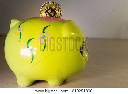 A green piggy bank with a golden bitcoin. Economical and financial concept involving cryptocoins, investment and savings