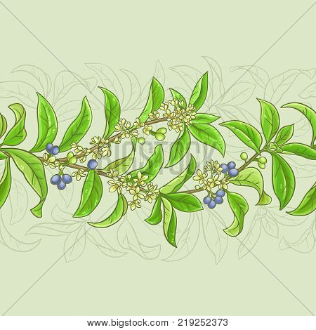 osmanthus branches vector pattern on color background