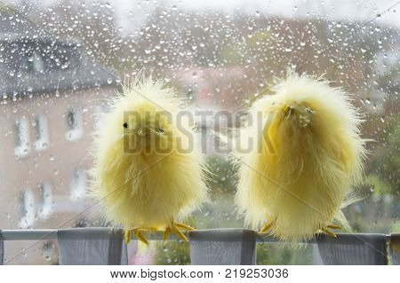 Two decorative yellow chicken on the window followed by rain