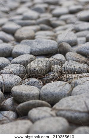 Pile of pebbles on ground with pine needles