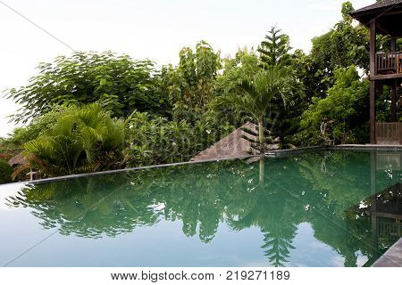 Villa Infinity Pool. A Balinese infinity pool overlooking tropical forest