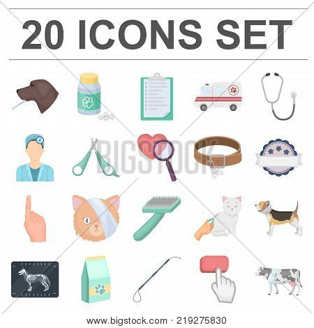 Veterinary clinic cartoon icons in set collection for design. Treatment of a pet vector symbol stock  illustration.