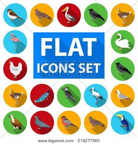 Types of birds flat icons in set collection for design. Home and wild bird vector symbol stock  illustration.