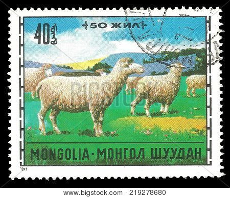 Kiev Ukraine December 22 2017: Stamp printed by Mongolia Color offset edition on topic of Animal Husbandry shows Domestic Sheep Ovis ammon aries CIRCA 1971
