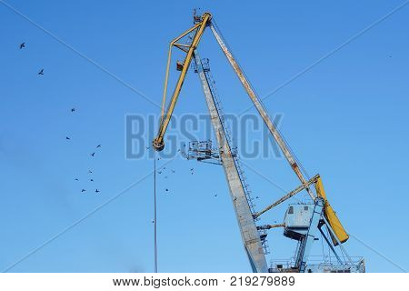 Crane on port with blue sky in background