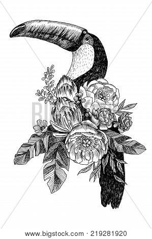 Hand drawing bouquet with tropical bird, palm leaves, peony and tukan. High detailed illustration. Engraving style