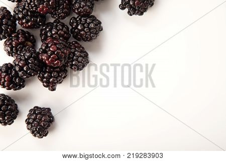 Blackberries in the corner on White Background
