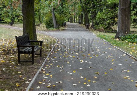 Forest, glade and path in National monument of landscape architecture Park  in former time royal 
residence on the outskirts of Sofia, Bulgaria, Europe
