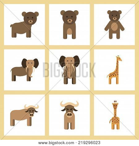 assembly of flat icons nature giraffe bull bear elephant