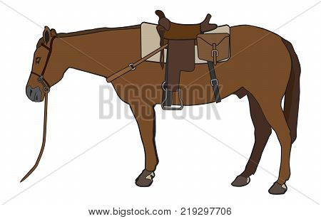 A horse is all saddled up and ready to go for a ride