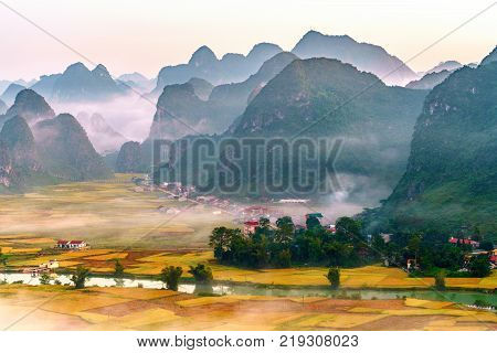 Rice And Rice Field In Trung Khanh, Cao Bang, Vietnam. Landscape Of Area Trung Khanh, Cao Bang, Viet