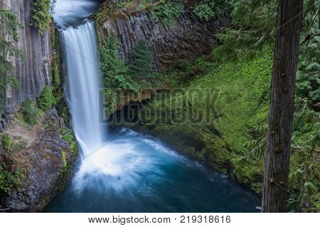 Mossy HIll Side and Toketee Falls in Oregon Wilderness