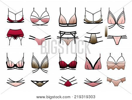 Set of beautiful modern women's underwear. Vector illustration