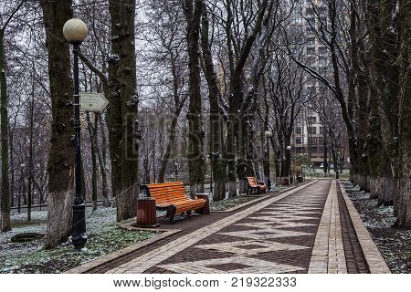 Alley with rhombus in the winter park