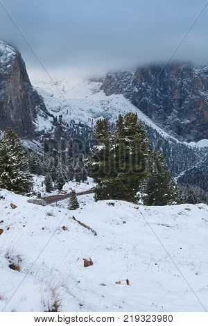 Mountain near Campitello di fassa, Dolomites Alps, Italy