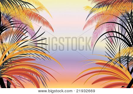 Africa