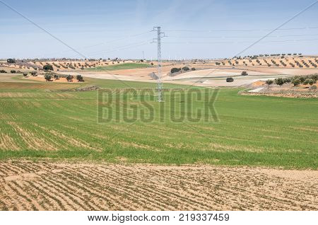 Agricultural mosaic landscape in Toledo Province, Spain
