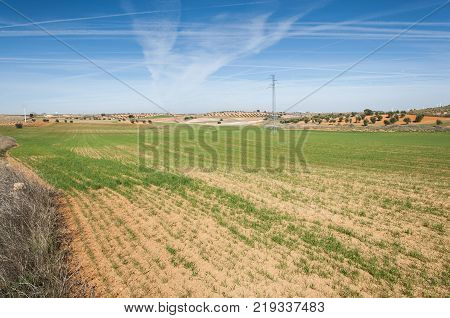 Agricultural mosaic landscape in Toledo Province, Spain