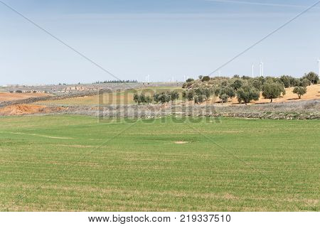 Agricultural mosaic landscape in Toledo Province, Spain