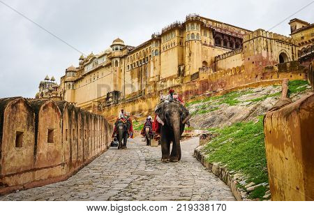 Jaipur India - Jul 28 2015. Decorated elephants going on the cobblestone path to Amber Fort near Jaipur India. Elephant rides are popular tourist attraction in Amber Fort.