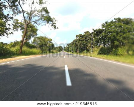 Beautiful road from habarana to kanthale in sri lanka