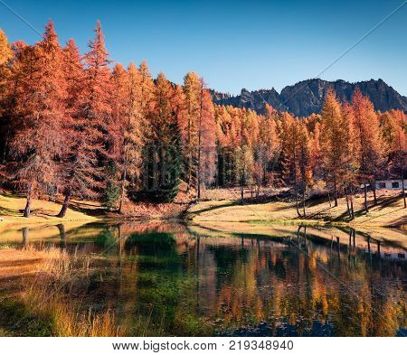 Fantastic colors view of Scin lake with yellow larch trees. Colorful sunny scene in Dolomite Alps Cortina d'Ampezzo location Italy Europe. Artistic style post processed photo.