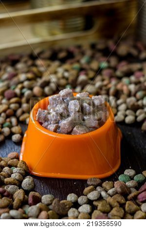 Wet canned pet food in a bowl surrounded by dry food