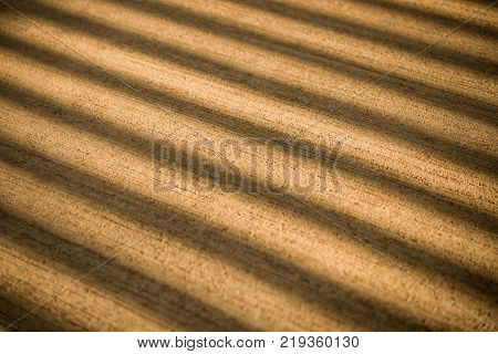 Concrete bgold abstract background with lined texture