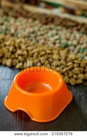 Small orange bowl for pet food and dry food as background
