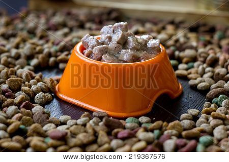 Wet canned pet food in a bowl surrounded by dry food