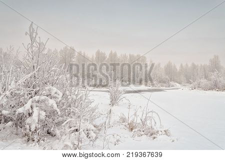 Winter. Non-freezing flow of the Yenisei River. December 2017 year. Khakassia. Siberia. Russia.