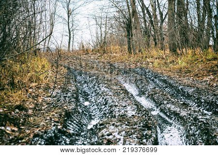 An impassable road, off-road track in autumn forest. Late autumn, early winter